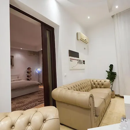Apartment Spacious In A Bucharest