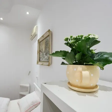 Spacious In A Appartamento